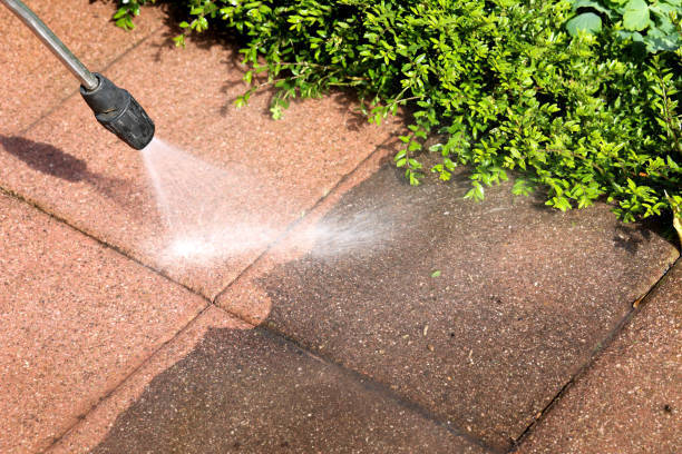 Roof Power Washing Services in Milan, IL